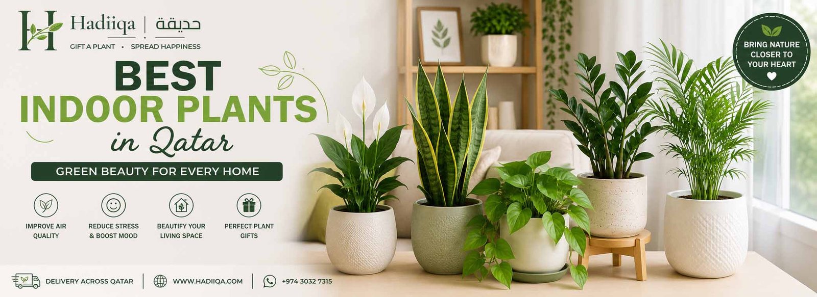 Best Indoor Plants in Qatar